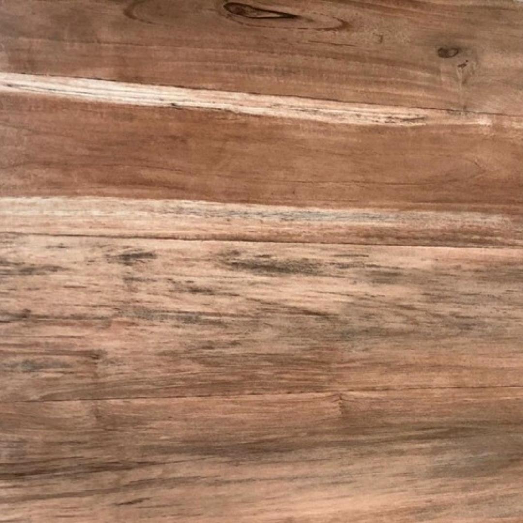 Eucalipto marron 2da