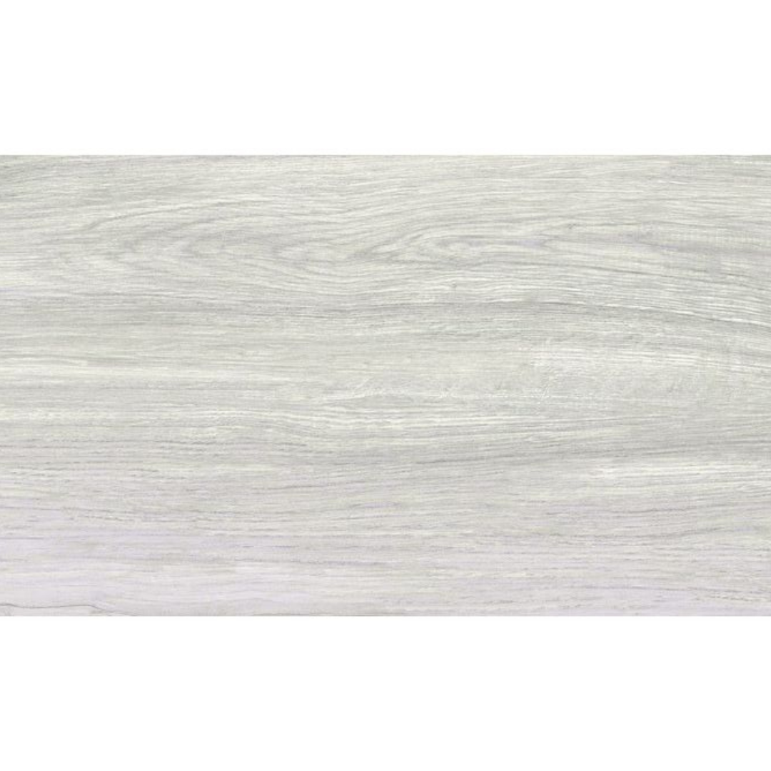 Castor gris